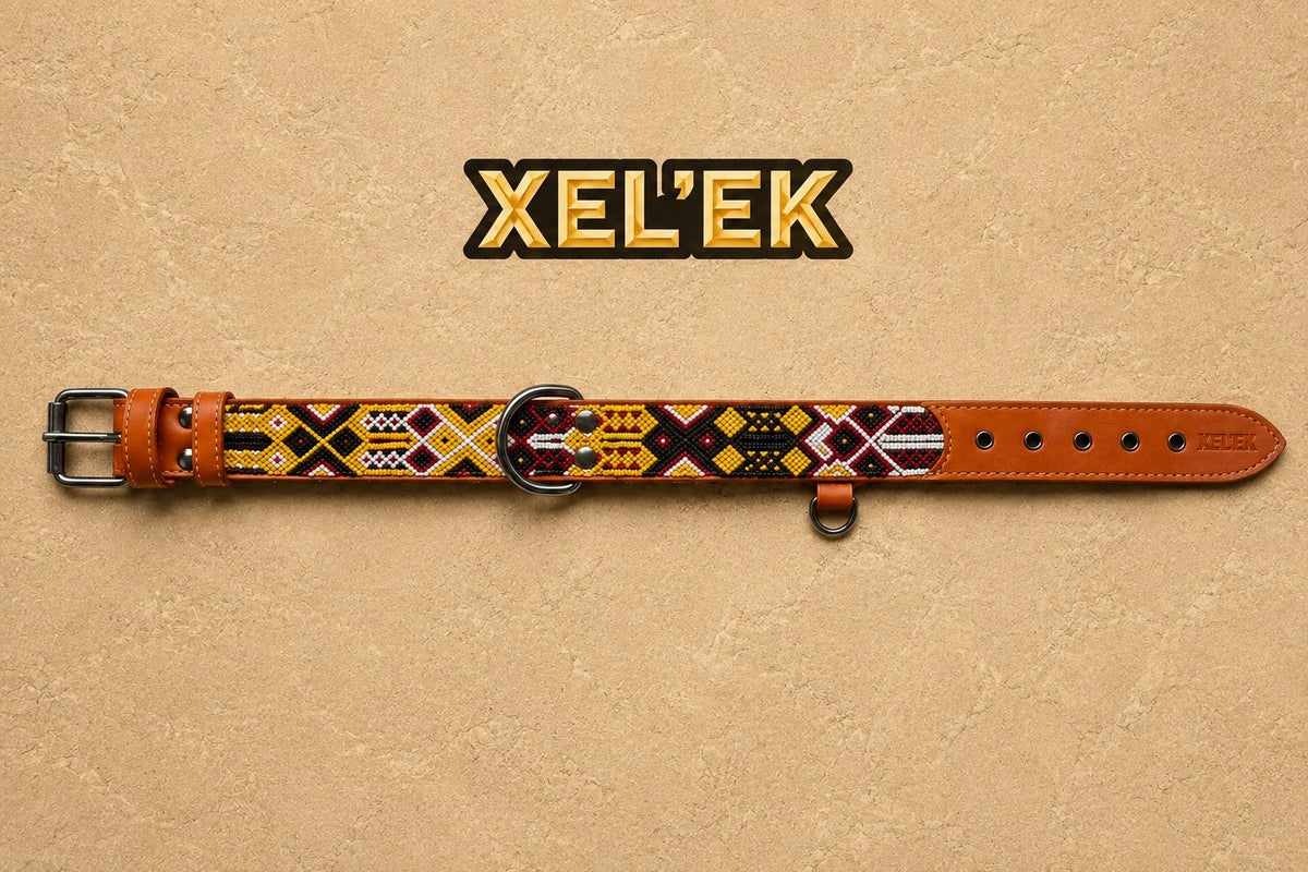 Collar Kakaw